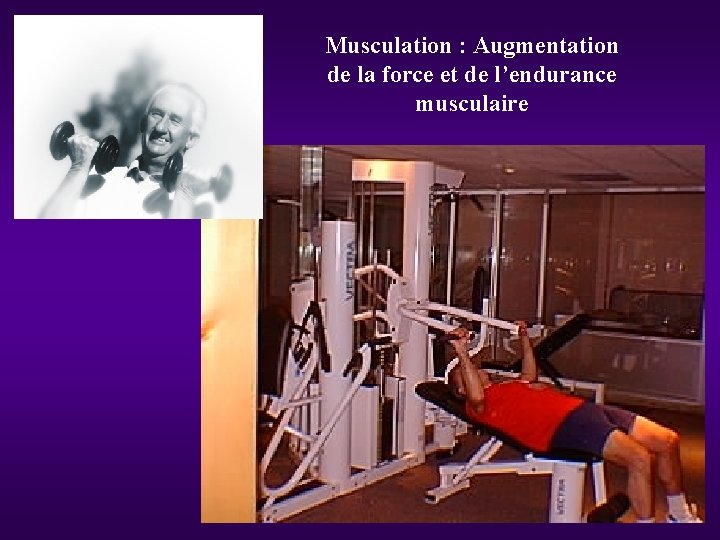 Musculation : Augmentation de la force et de l’endurance musculaire 