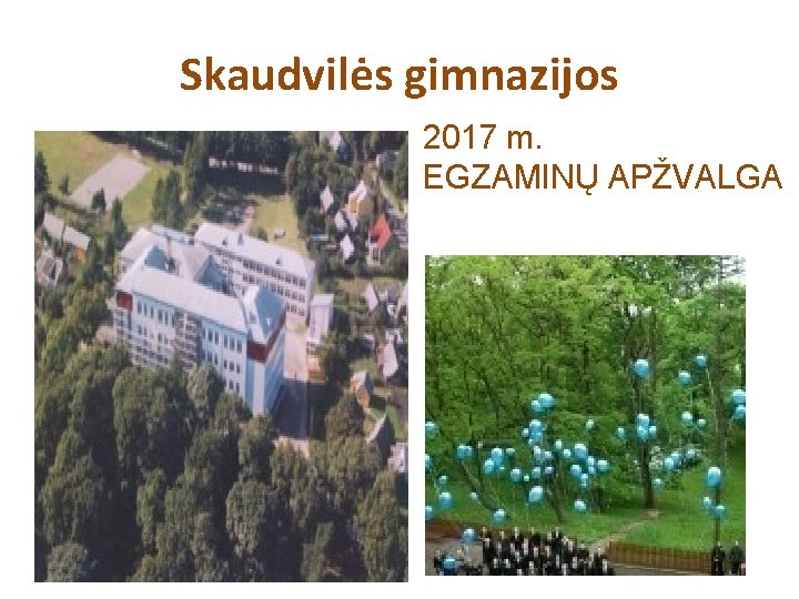 Skaudvilės gimnazijos 2017 m. EGZAMINŲ APŽVALGA 