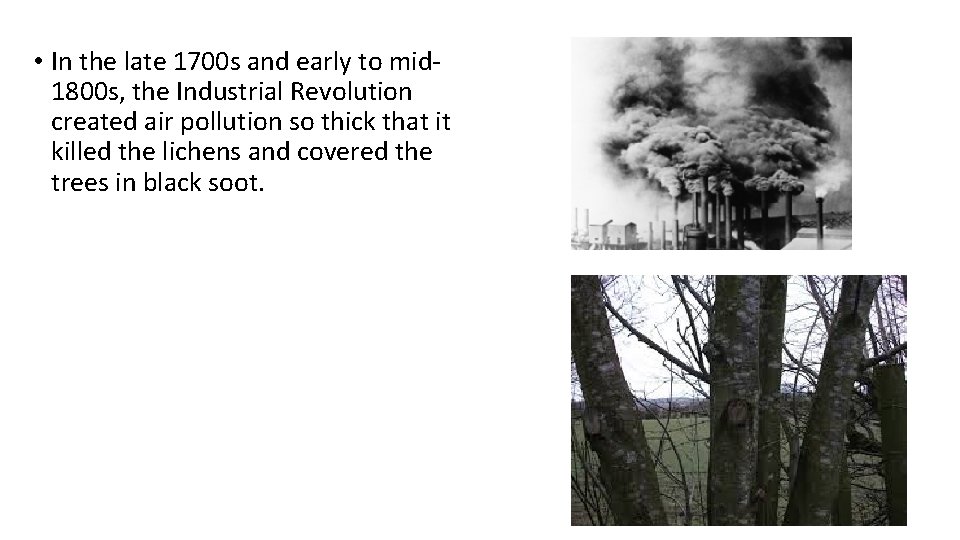 • In the late 1700 s and early to mid 1800 s, the • In the late 1700 s and early to mid 1800 s, the