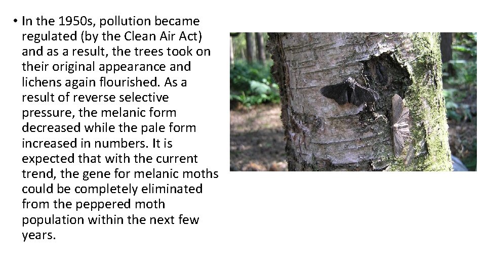 • In the 1950 s, pollution became regulated (by the Clean Air Act) • In the 1950 s, pollution became regulated (by the Clean Air Act)