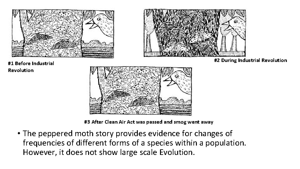 #2 During Industrial Revolution #1 Before Industrial Revolution #3 After Clean Air Act was #2 During Industrial Revolution #1 Before Industrial Revolution #3 After Clean Air Act was