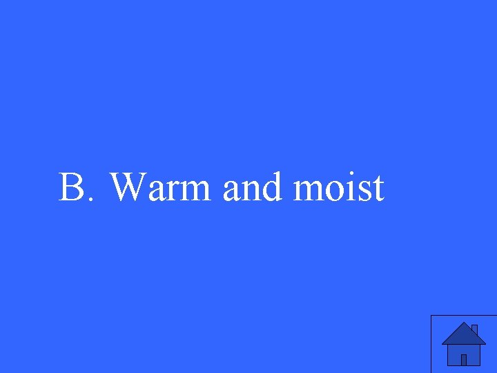 B. Warm and moist 