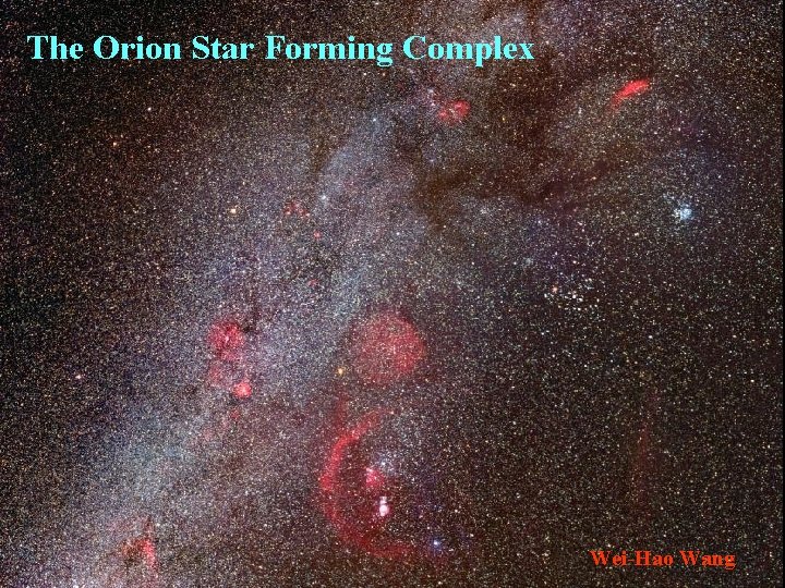 The Orion Star Forming Complex Wei-Hao Wang 