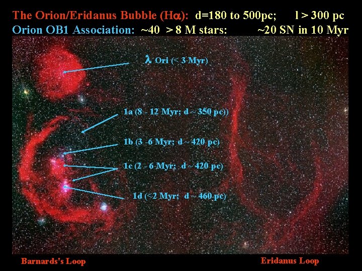 The Orion/Eridanus Bubble (Ha): d=180 to 500 pc; l > 300 pc Orion OB