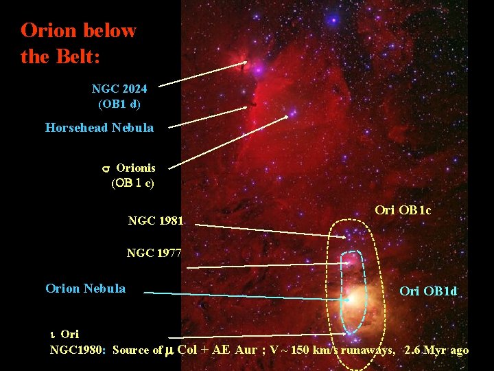 Orion below the Belt: NGC 2024 (OB 1 d) Horsehead Nebula s Orionis (OB