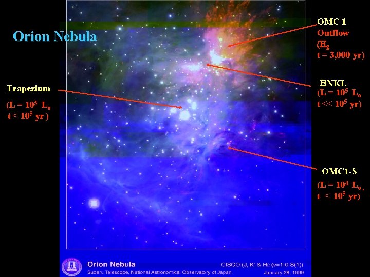 Orion Nebula Trapezium (L = 105 Lo t < 105 yr ) OMC 1