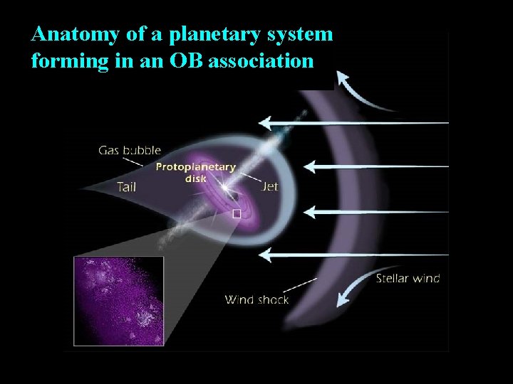 Anatomy of a planetary system forming in an OB association 