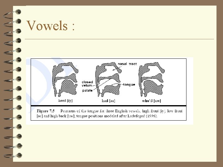 Vowels : 