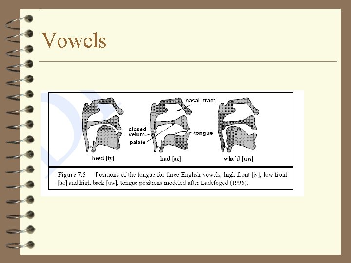 Vowels 