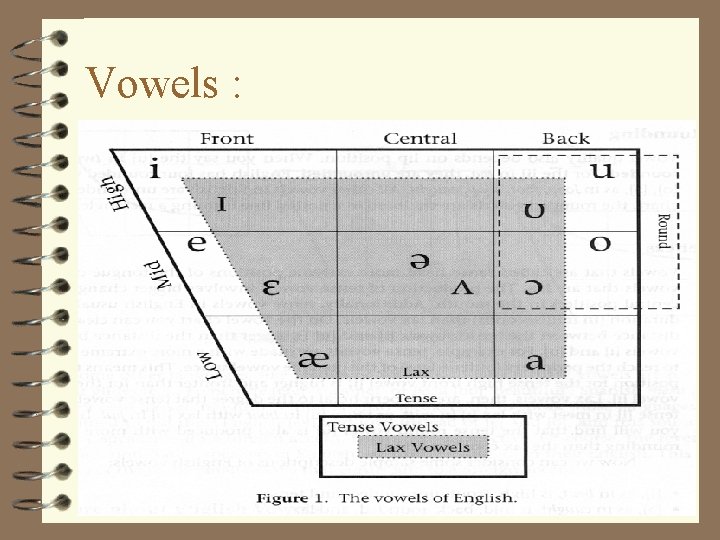 Vowels : 