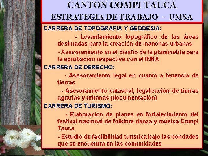 CANTON COMPI TAUCA ESTRATEGIA DE TRABAJO - UMSA CARRERA DE TOPOGRAFIA Y GEODESIA: -