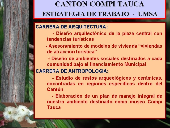 CANTON COMPI TAUCA ESTRATEGIA DE TRABAJO - UMSA CARRERA DE ARQUITECTURA: - Diseño arquitectónico