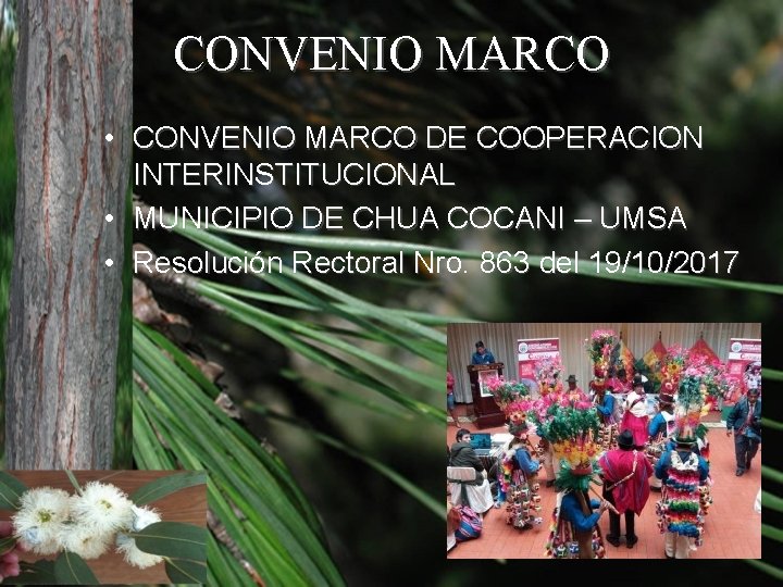 CONVENIO MARCO • CONVENIO MARCO DE COOPERACION INTERINSTITUCIONAL • MUNICIPIO DE CHUA COCANI –