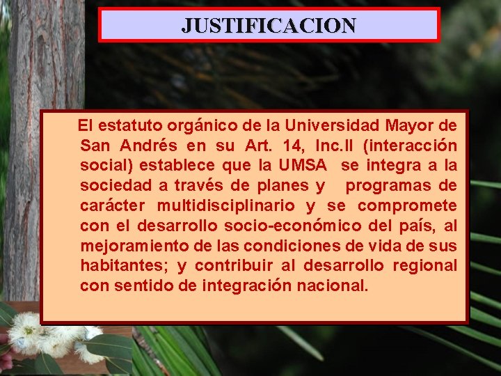 JUSTIFICACION El estatuto orgánico de la Universidad Mayor de San Andrés en su Art.