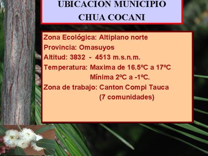 UBICACION MUNICIPIO CHUA COCANI Zona Ecológica: Altiplano norte Provincia: Omasuyos Altitud: 3832 - 4513