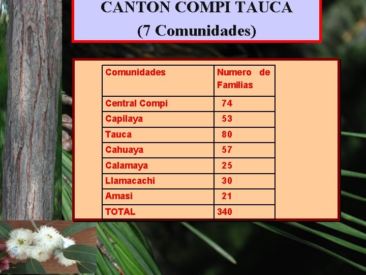 CANTON COMPI TAUCA (7 Comunidades) Comunidades Numero de Familias Central Compi 74 Capilaya 53