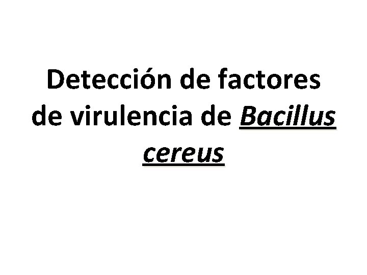 Detección de factores de virulencia de Bacillus cereus 