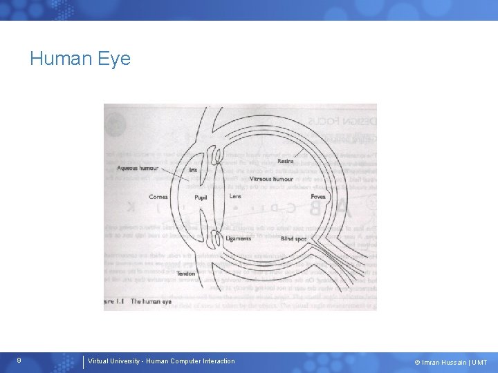 Human Eye 9 Virtual University - Human Computer Interaction © Imran Hussain | UMT