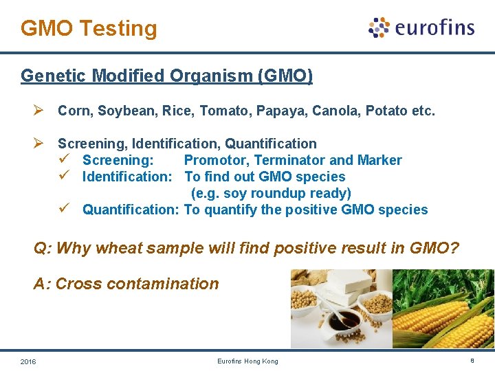 GMO Testing Genetic Modified Organism (GMO) Ø Corn, Soybean, Rice, Tomato, Papaya, Canola, Potato GMO Testing Genetic Modified Organism (GMO) Ø Corn, Soybean, Rice, Tomato, Papaya, Canola, Potato