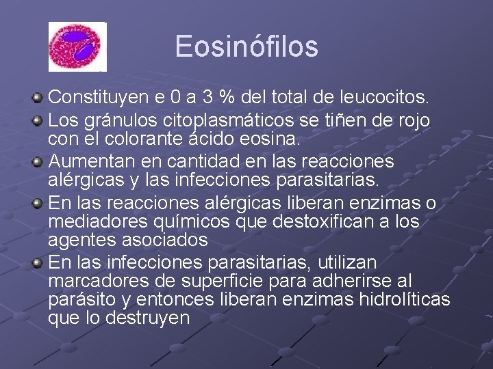 Eosinófilos Constituyen e 0 a 3 % del total de leucocitos. Los gránulos citoplasmáticos Eosinófilos Constituyen e 0 a 3 % del total de leucocitos. Los gránulos citoplasmáticos