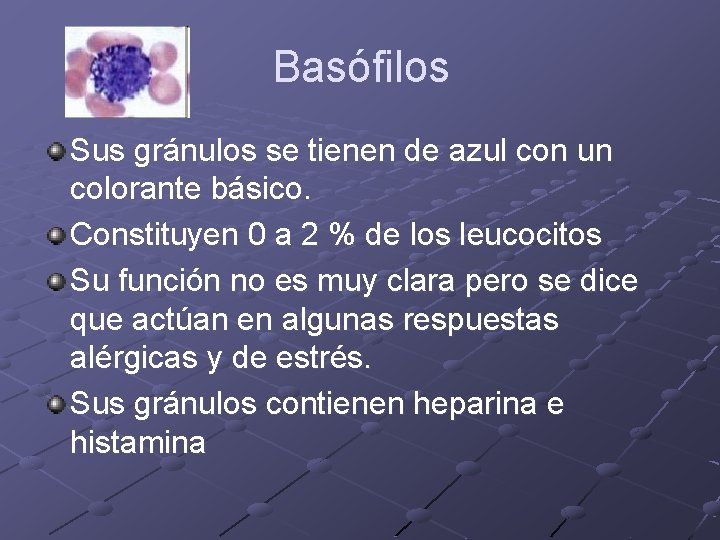 Basófilos Sus gránulos se tienen de azul con un colorante básico. Constituyen 0 a Basófilos Sus gránulos se tienen de azul con un colorante básico. Constituyen 0 a
