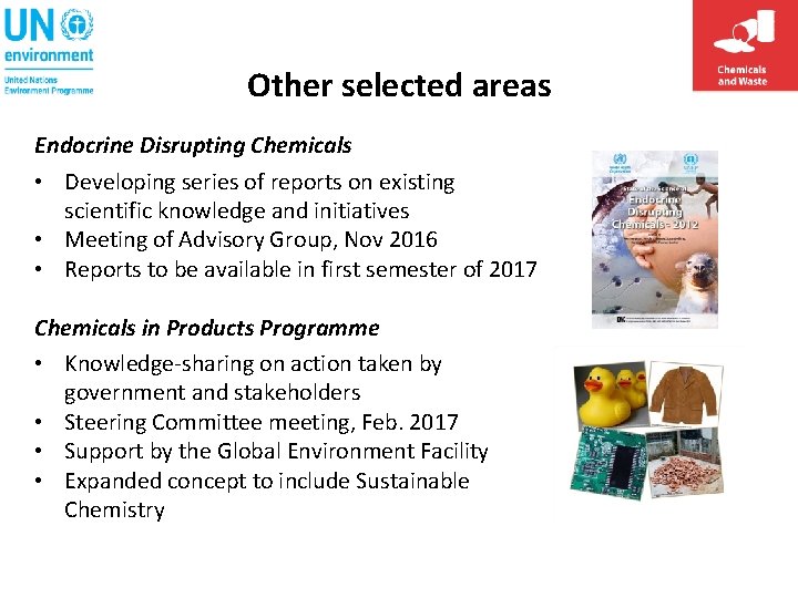 Other selected areas Endocrine Disrupting Chemicals • Developing series of reports on existing scientific