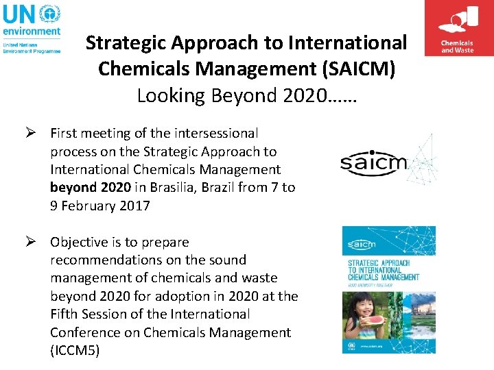 Strategic Approach to International Chemicals Management (SAICM) Looking Beyond 2020…… Ø First meeting of