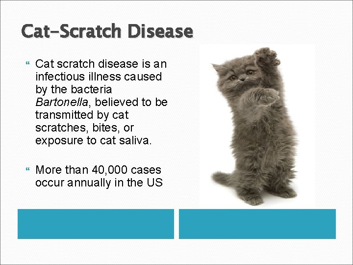 Diseases Of Cardiovacular And Lymphatic Systems Sepsis Septicemia