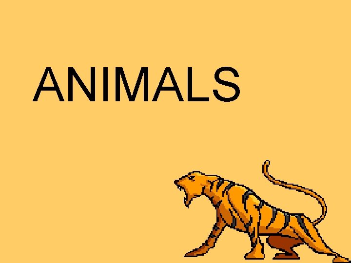 ANIMALS 