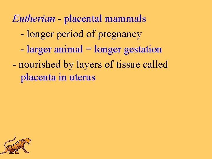 Eutherian - placental mammals - longer period of pregnancy - larger animal = longer