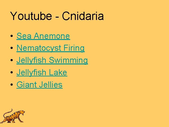 Youtube - Cnidaria • • • Sea Anemone Nematocyst Firing Jellyfish Swimming Jellyfish Lake