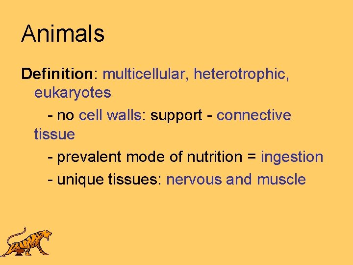Animals Definition: multicellular, heterotrophic, eukaryotes - no cell walls: support - connective tissue -
