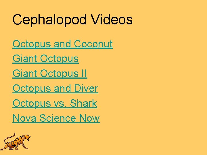 Cephalopod Videos Octopus and Coconut Giant Octopus II Octopus and Diver Octopus vs. Shark