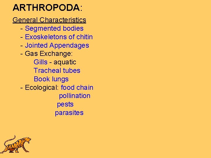 ARTHROPODA: General Characteristics - Segmented bodies - Exoskeletons of chitin - Jointed Appendages -