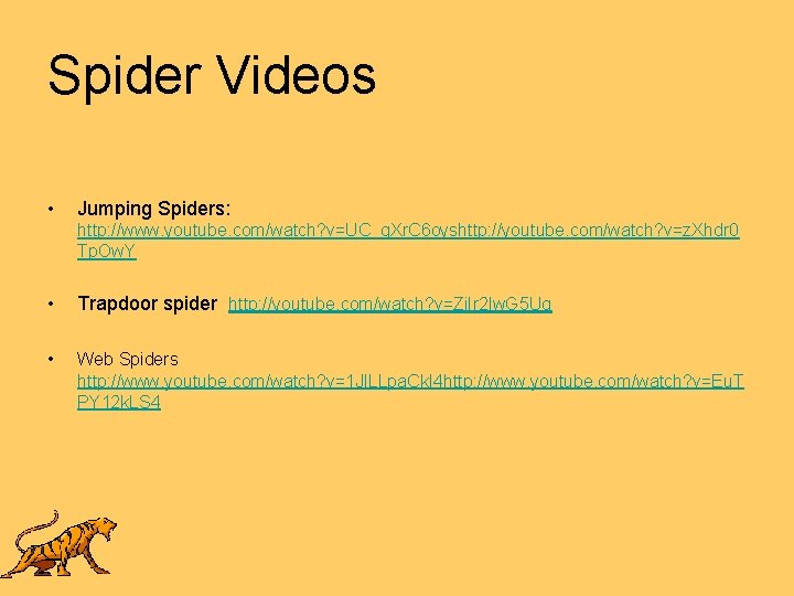 Spider Videos • Jumping Spiders: http: //www. youtube. com/watch? v=UC_g. Xr. C 6 oyshttp: