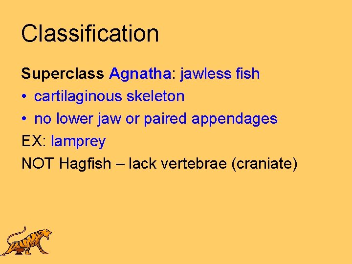 Classification Superclass Agnatha: jawless fish • cartilaginous skeleton • no lower jaw or paired