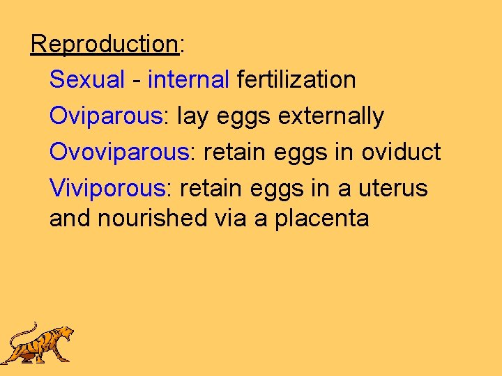 Reproduction: Sexual - internal fertilization Oviparous: lay eggs externally Ovoviparous: retain eggs in oviduct