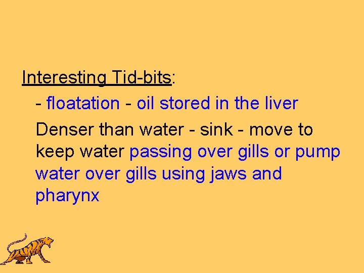 Interesting Tid-bits: - floatation - oil stored in the liver Denser than water -