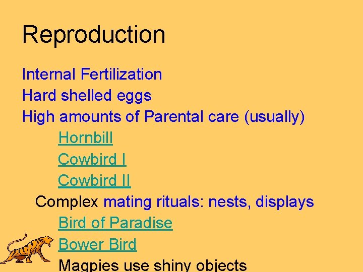 Reproduction Internal Fertilization Hard shelled eggs High amounts of Parental care (usually) Hornbill Cowbird