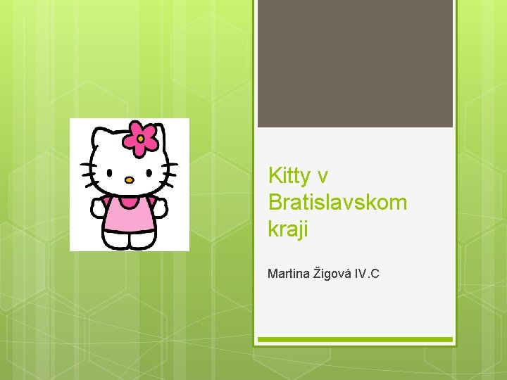 Kitty v Bratislavskom kraji Martina Žigová IV. C 