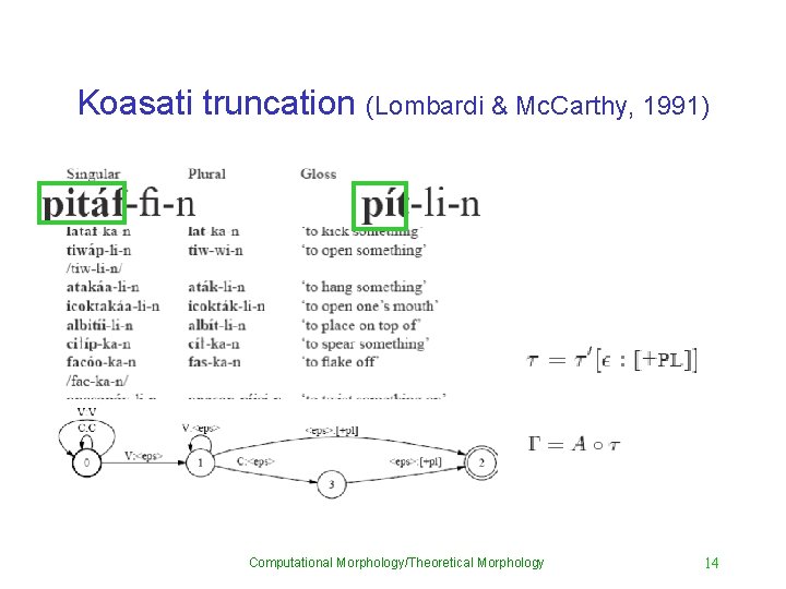 Koasati truncation (Lombardi & Mc. Carthy, 1991) Computational Morphology/Theoretical Morphology 14 