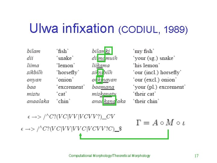 Ulwa infixation (CODIUL, 1989) Computational Morphology/Theoretical Morphology 17 