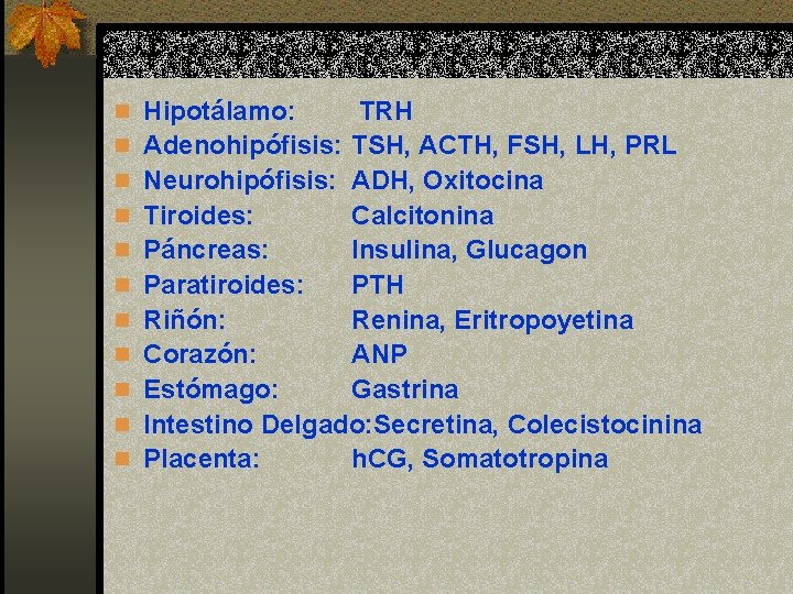 n Hipotálamo: n n n n n TRH Adenohipófisis: TSH, ACTH, FSH, LH, PRL