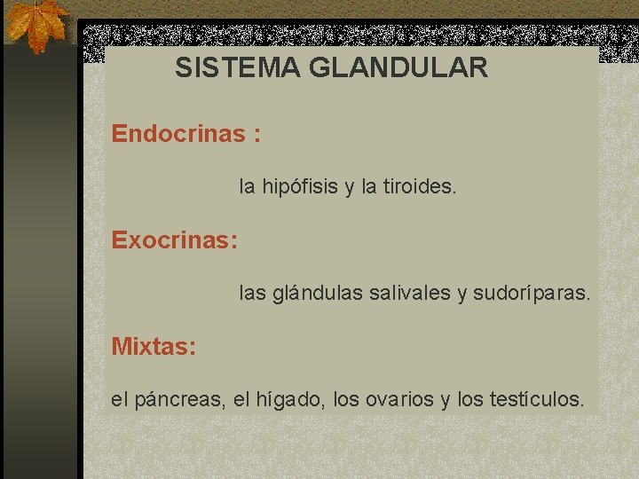 SISTEMA GLANDULAR Endocrinas : la hipófisis y la tiroides. Exocrinas: las glándulas salivales y