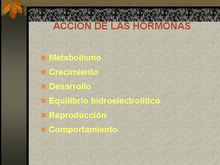 ACCION DE LAS HORMONAS n Metabolismo n Crecimiento n Desarrollo n Equilibrio hidroelectrolítico n