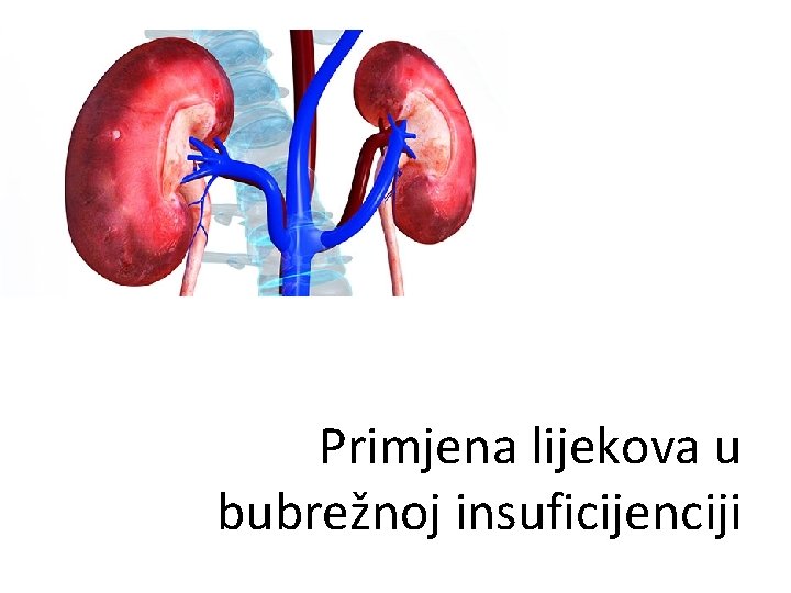 Primjena lijekova u bubrežnoj insuficijenciji 