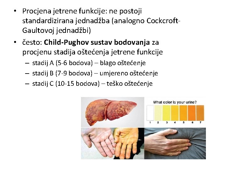  • Procjena jetrene funkcije: ne postoji standardizirana jednadžba (analogno Cockcroft. Gaultovoj jednadžbi) •