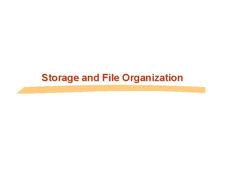 Storage and File Organization 