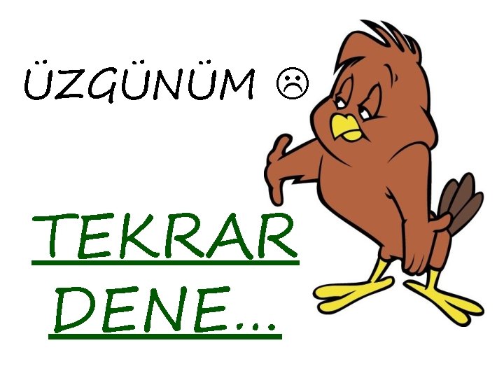 ÜZGÜNÜM TEKRAR DENE… 
