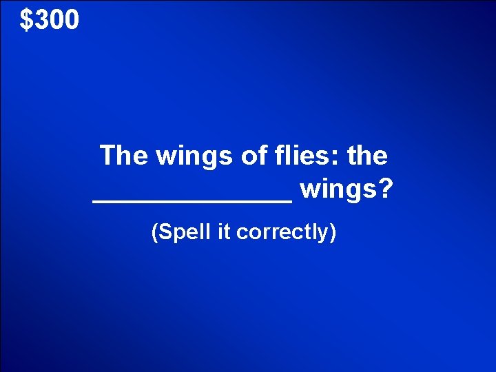 © Mark E. Damon - All Rights Reserved $300 The wings of flies: the